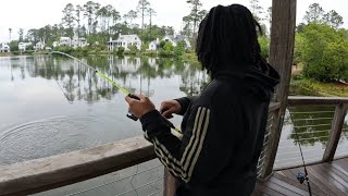 WE CAUGHT THE WHOLE POND (Epic day of land based Catfishing pt2)