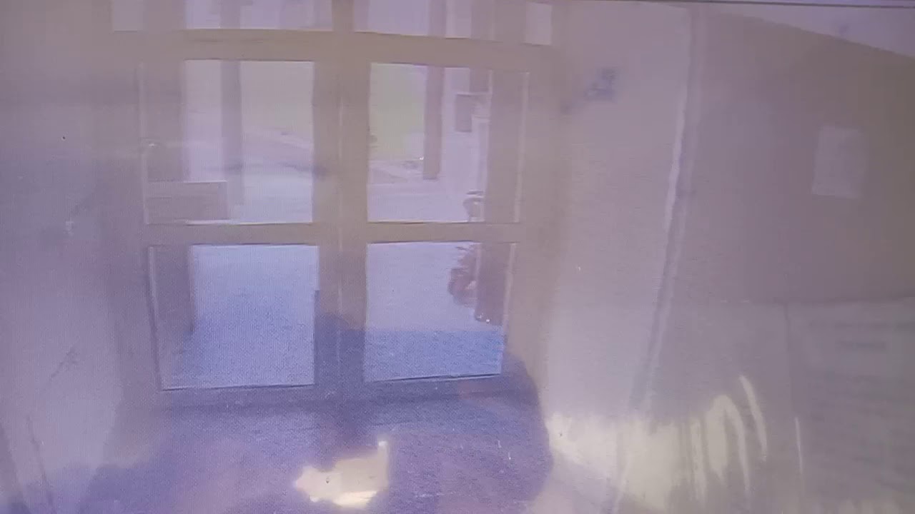 Monkey broken door glass for enter the building. - YouTube