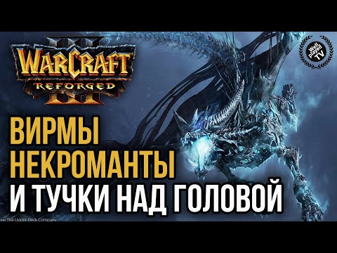 Видео: ВИРМЫ, НЕКРОМАНТЫ И ТУЧКИ НАД ГОЛОВОЙ: Warcraft 3 Reforged