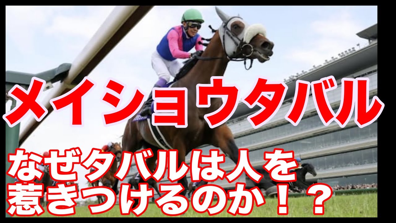 さるきち様 オーダー7枚 メイショウタバル追加 メイショウタバル
