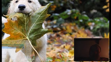 How To Use Dvd Shrink 2018