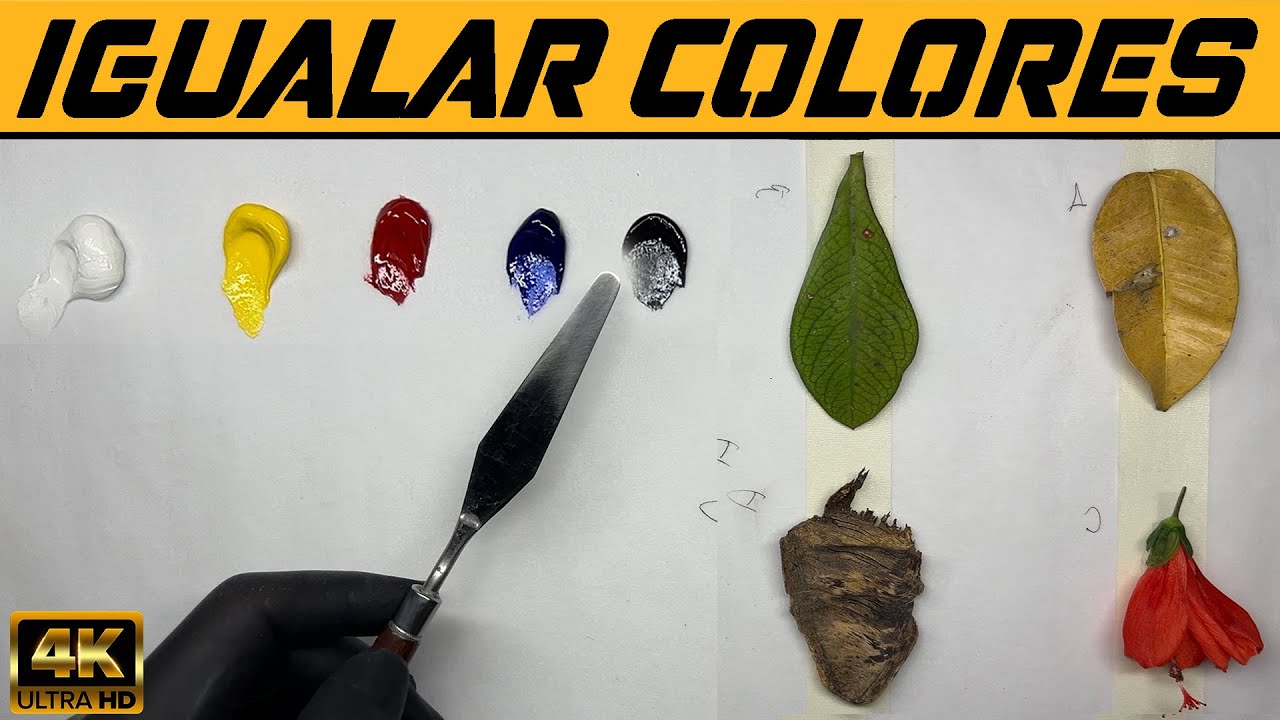 🎨IGUALAR COLORES FACIL solo con PRIMARIOS 🤩PINTURA AL OLEO TRADICIONAL😮