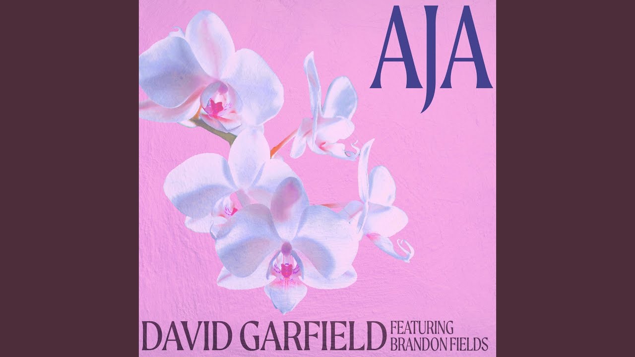 Aja (Instrumental Radio Version) - YouTube