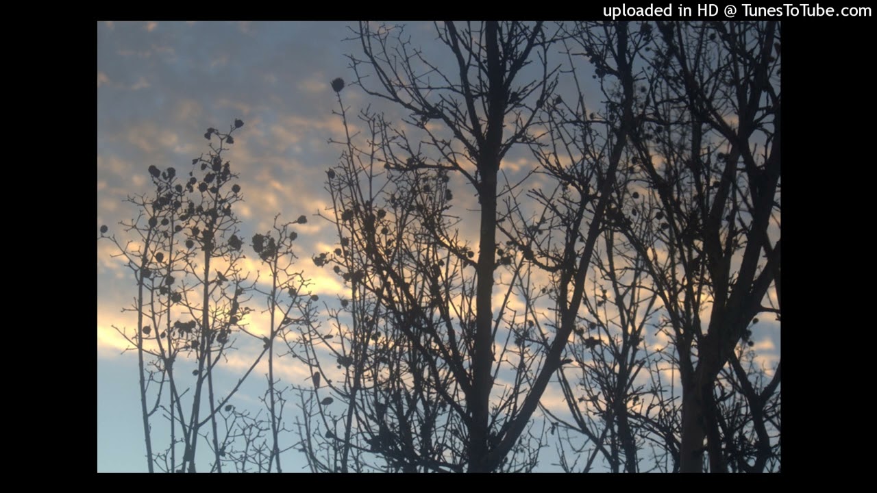 old geezer walking - galanye.