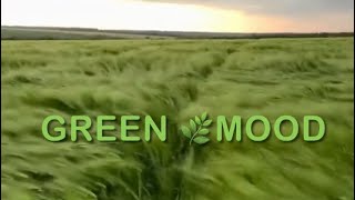 Зелений настрій..🌿and beautiful music “Timelapse “ by Michael Logozar