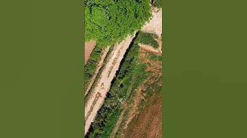 A little split s practice! #fpv #dji #djifpv #drones