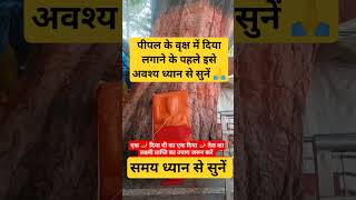 पीपल में लक्ष्मी प्राप्ति के लिए किस समय दिया लगाएं। shortsfeed shortvideo upay viral shorts