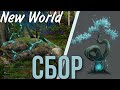 New World | Гайд по сбору 🌿