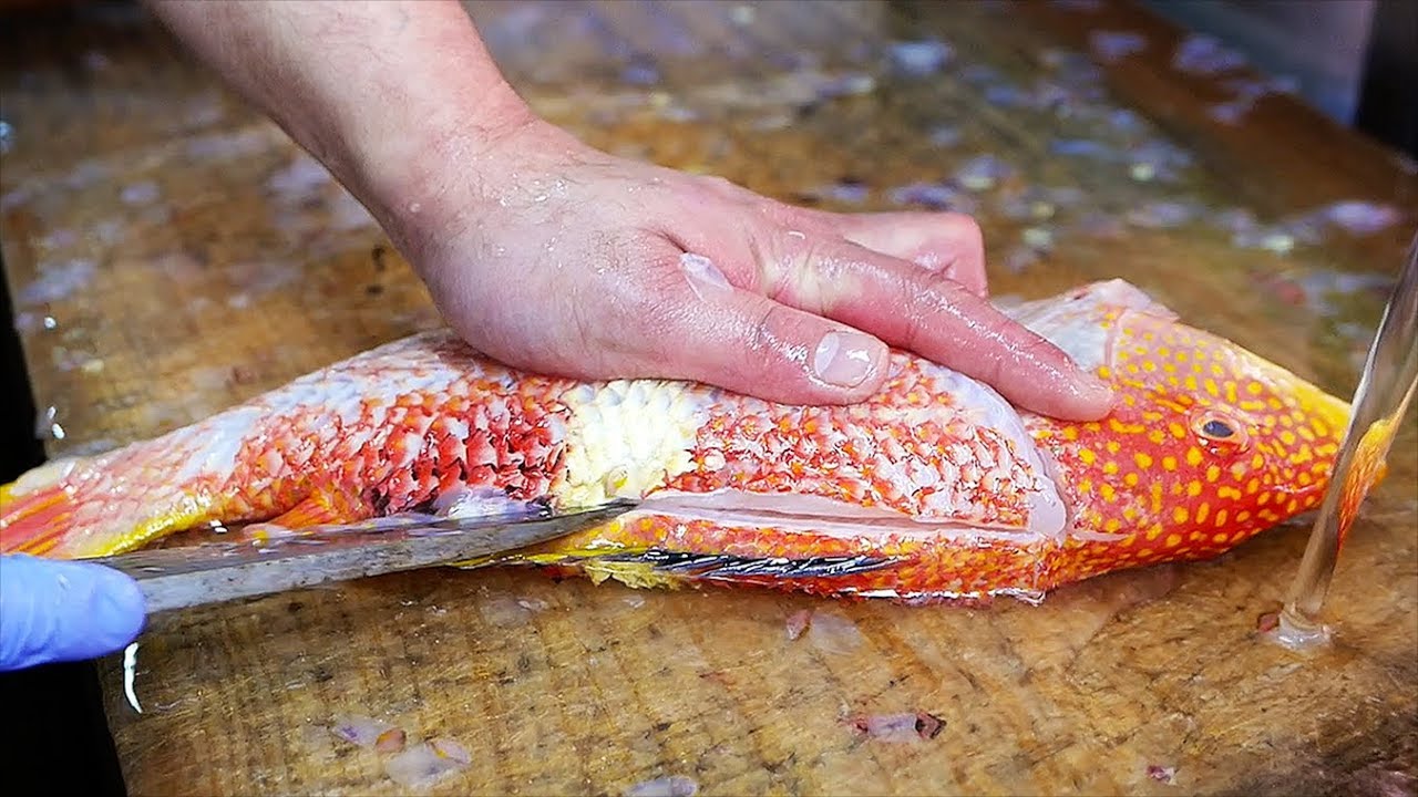 Japanese Street Food - GOLD SPOT WRASSE Sashimi Okinawa Seafood Japan | Travel Thirsty