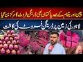 Pakistan Joins Dragon Fruit Boom | Cultivation Begins in Lahore | 92NewsHD