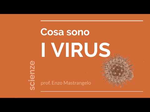 I VIRUS - Cosa sono - Mastrangelo