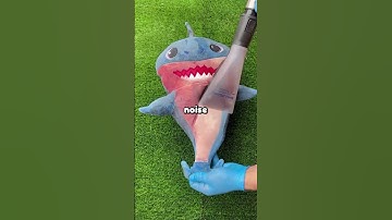 What’s the wildest real life plot twist you’ve seen?