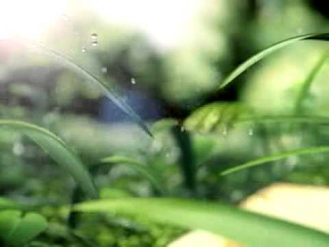 Lovely Garden Eau De Toilette memberi kesegaran bagai menyusuri taman dan serasa seperti peri yang s. 