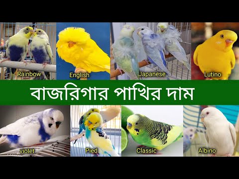 ভিডিও: হোয়াইট মুস: অ্যালবিনো নাকি একটি নতুন জাত?