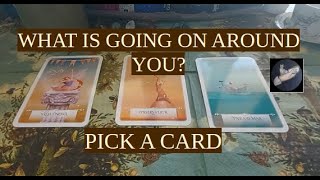 WHAT IS GOING ON AROUND YOU?🎃🕷️ |PICK A CARD|SEAWITCHTAROT🗝️| timeless reading