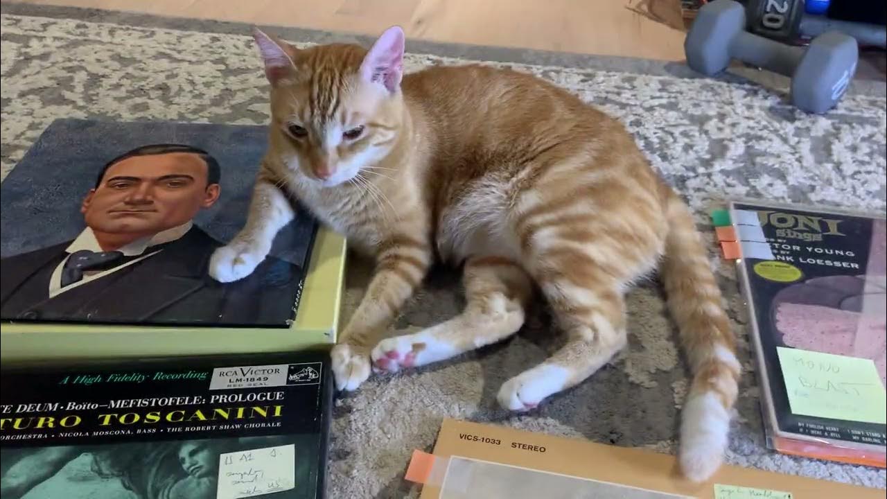 THE ULTIMATE DIFFERENCE BETWEEN MONO AND STEREO YouTube