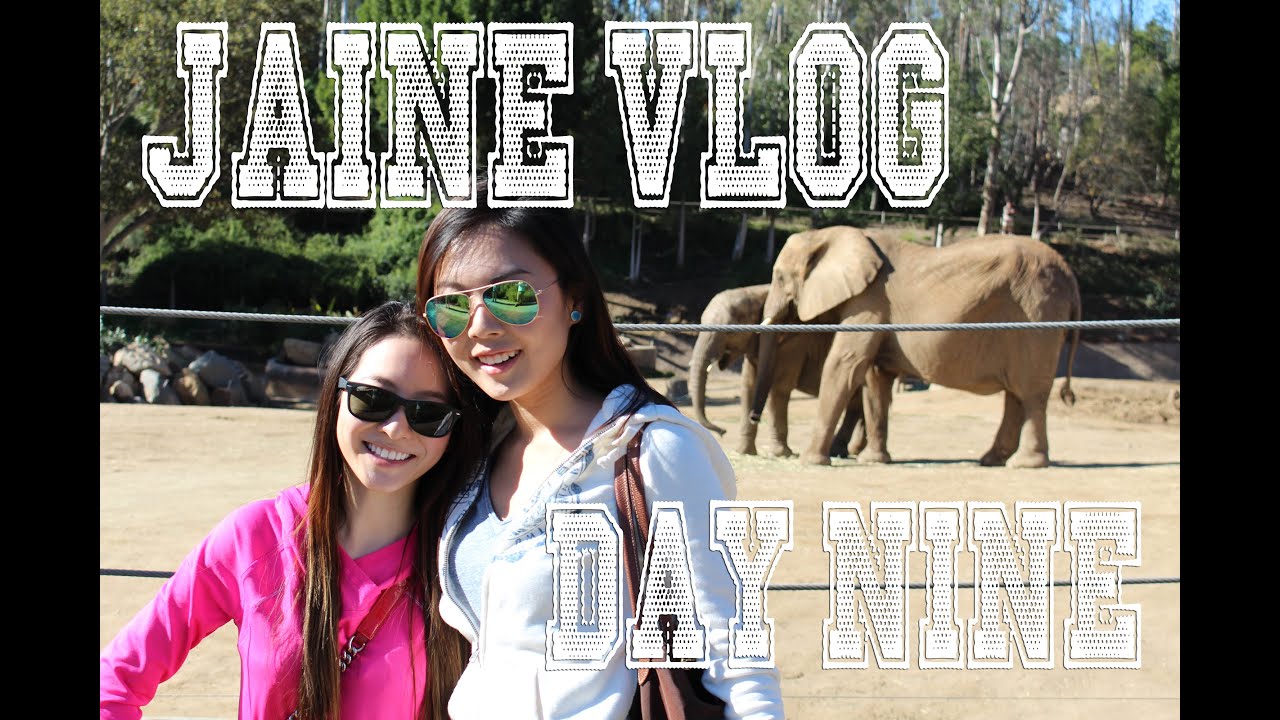 Jaine Vlog Day 9❀ Safari Park 結局篇 | ItsJessicaW