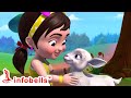 Marykkundoru Kunjadu - മേരിക്കുണ്ടൊരു കുഞ്ഞാട് | Malayalam Rhymes & Cartoons | Infobells #babysongs