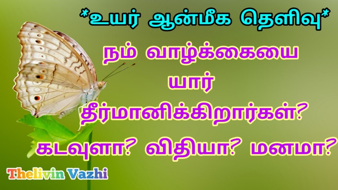 நம் வாழ்க்கையை யார் தீர்மானிக்கிறார்கள்? கடவுளா விதியா அல்லது மனமா?
