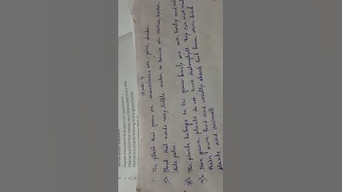 Classwork, Science, Class 4, Date 29/03/2023