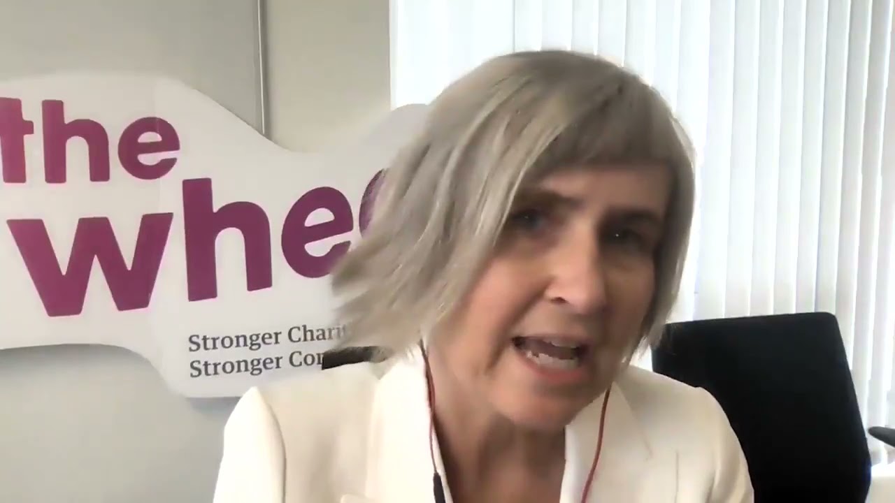 Deirdre Garvey, CEO of The Wheel speaking at Shared Island Dialogue, 25 March 2021