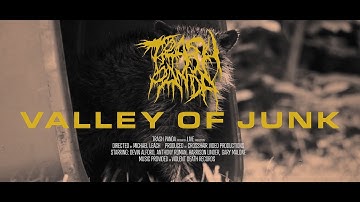 TRASH PANDA - VALLEY OF JUNK [OFFICIAL MUSIC VIDEO] (2022) SW EXCLUSIVE