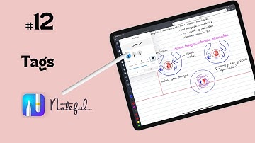 #12 Noteful (iPad): Tags for Beginners