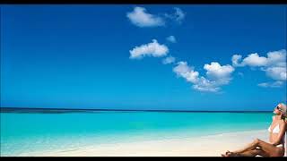 Watch Sash The Trip 103 video