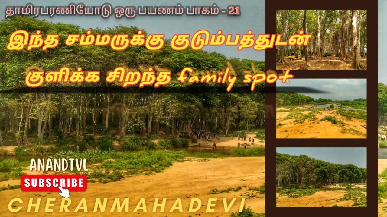 Best family picnic spot Cheranmahadevi river | thamirabarani river | சேரன்மகாதேவி | தாமிரபரணி
