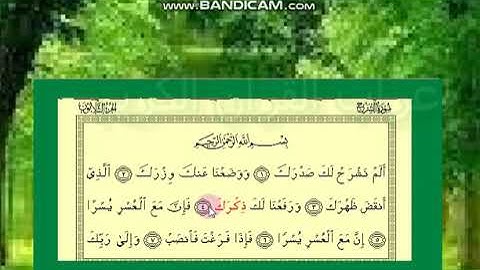 إعراب سورة الشرح 1