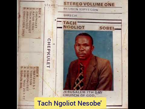 TACH NGOLIOT NESOBE PST REUBEN BIRECH VOL1