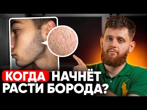 Когда будут первые результаты от средства для роста бороды?