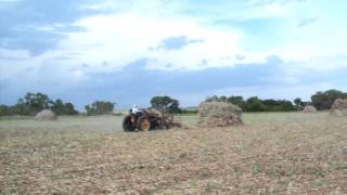 Old School Hay Stacking