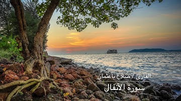 صلاح باعثمان سورة الأنفال