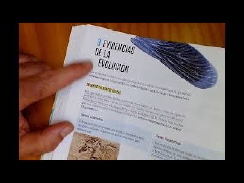 Evidencias Evolución - SelecciónNatural - Especiación