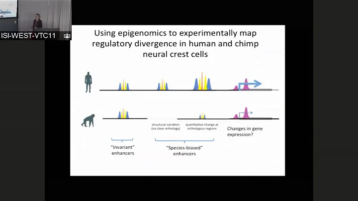 Epigenetic landscapes and regulatory divergence of human craniofacial traits - Joanna Wysocka