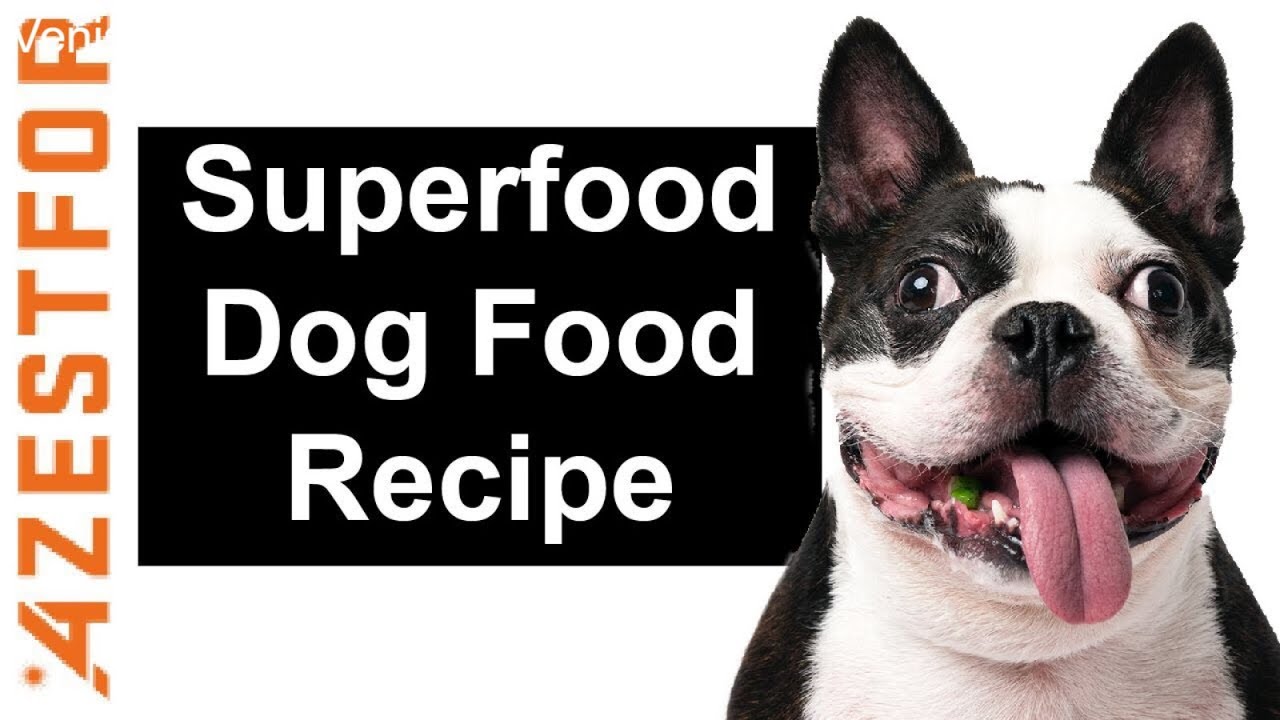 azestfor dog vitamins