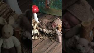 All You Need Is The Bear Necessities