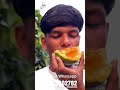 আম কিনতে যোগাযোগ করতে পারেন ❤️ #mango  #followersreelsfypシ゚viralシfypシ゚viralシalシ #bestproducts
