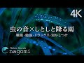【自然音/睡眠】虫の声・雨の音|しとしと降る雨音、心地よい虫の声で、睡眠・勉強・リラッックス|自然音/ASMR