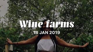 WELCOME TO CAPE TOWN || Part 3 at the VINEYARDS
