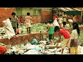 Deadly Cambodian Slums | Beyond Human Boundaries | TRACKS