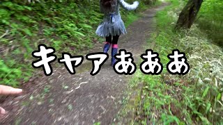 【衝撃映像】女性の服にヘビがポン！見た事も無いほど大絶叫して大混乱に！！！！