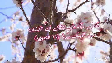 واوحى ربك الى النحل سورة النحل