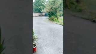 scattered thunderstorms