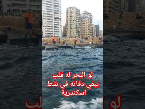 لو البحر له قلب يبقي دقاته في شط الاسكندريه
