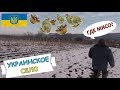 Как сейчас живёт УКРАИНСКОЕ СЕЛО. Мясо ПЕРЕПЕЛКИ. Как выращивается?