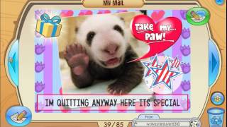 Animal Jam: MAILTIME! ;D