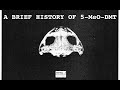 Hamilton Morris describes the history of 5-MeO-DMT Mp3 Song