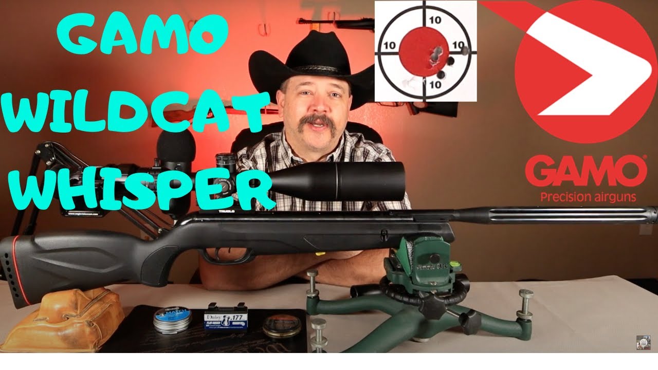 Gamo Wildcat Whisper Pellet Gun | Initial Review - YouTube